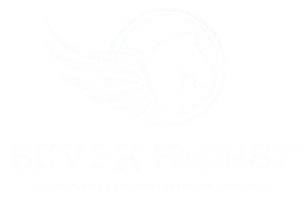 silverhorseinst.com