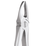 1 Upper Anteriors