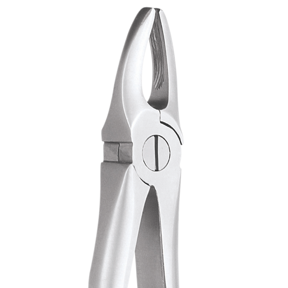 L1-0012 (3) 1 Upper Anteriors - Image 1