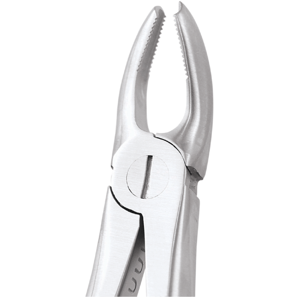 L1-004 18 Upper Molars Left - Image 1